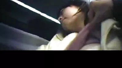 Intet dansk erotisk film FAG